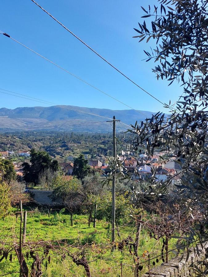 Casa Das Cortes - Serra Da Estrela Apartment Gouveia  Bagian luar foto