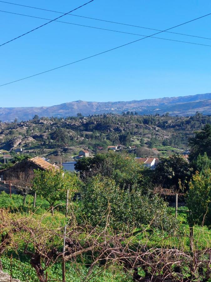 Casa Das Cortes - Serra Da Estrela Apartment Gouveia  Bagian luar foto